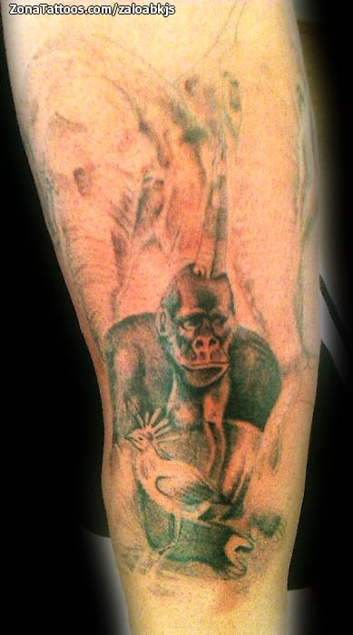 Tattoo photo Gorillas, Animals