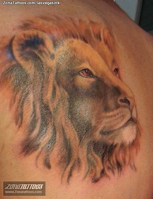 Foto de tatuaje Leones, Espalda, Animales