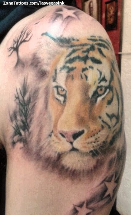 Foto de tatuaje Tigres, Animales