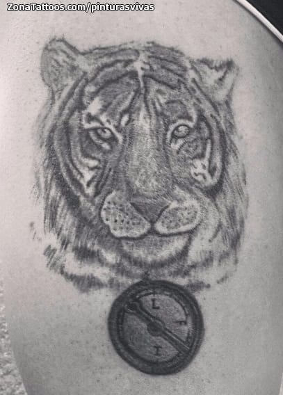 Foto de tatuaje Tigres, Animales, Brújulas