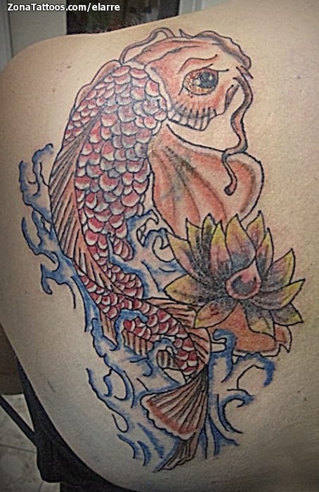 Tattoo of Koi, Asian, Fish