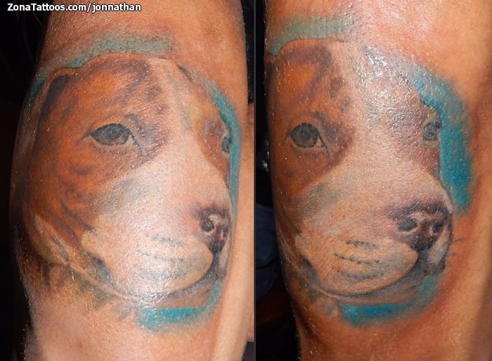 Foto de tatuaje Animales, Perros