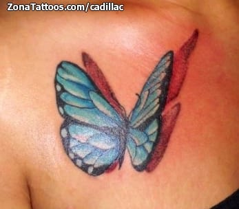 Foto de tatuaje Mariposas, Insectos