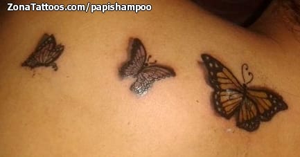 Tattoo photo Butterflies, Insects, Scars