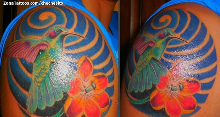 Foto de tatuaje Colibríes, Aves, Animales