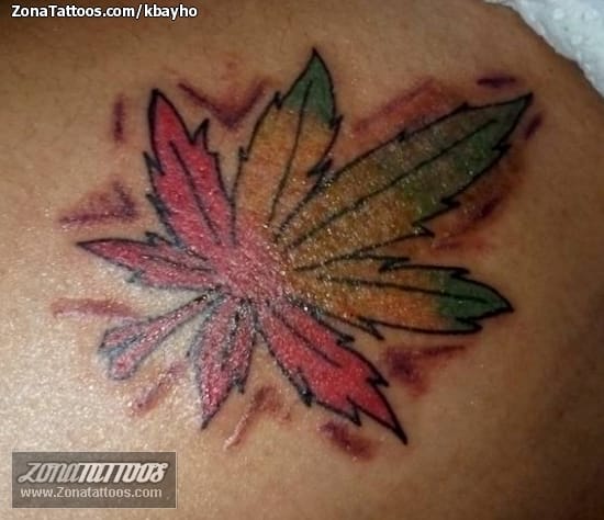 Foto de tatuaje Hojas