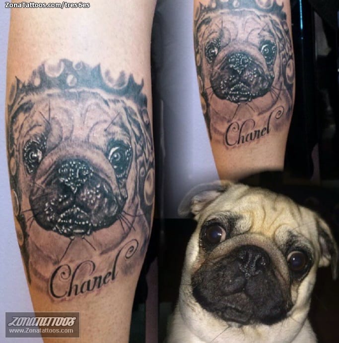 Foto de tatuaje Perros, Animales