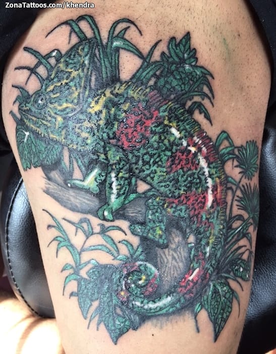 Tattoo photo Chameleons, Animals, Lizards