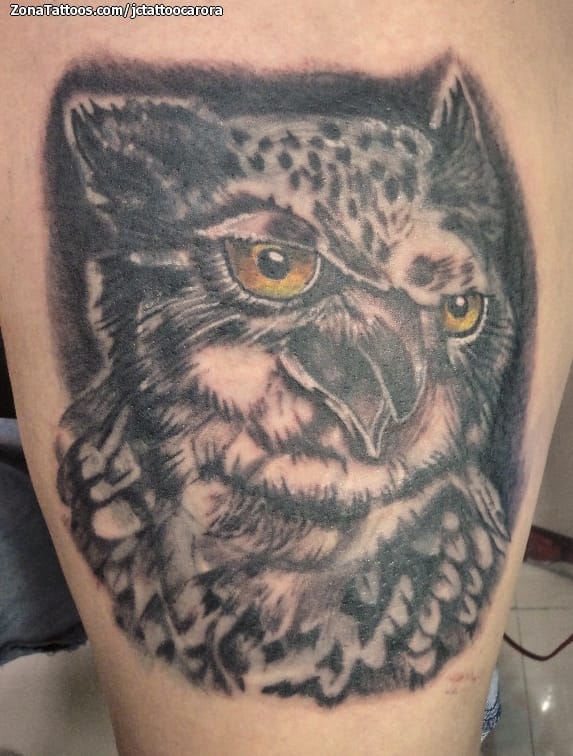 Foto de tatuaje Búhos, Aves, Animales