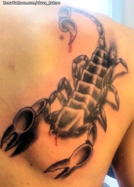 Tattoo photo Scorpions, Insects