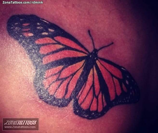 Tattoo photo Butterflies, Insects