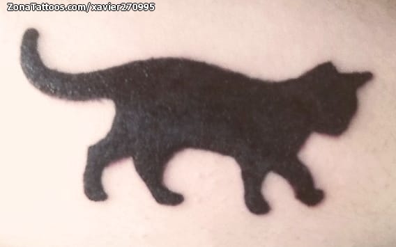 Foto de tatuaje Animales, Gatos