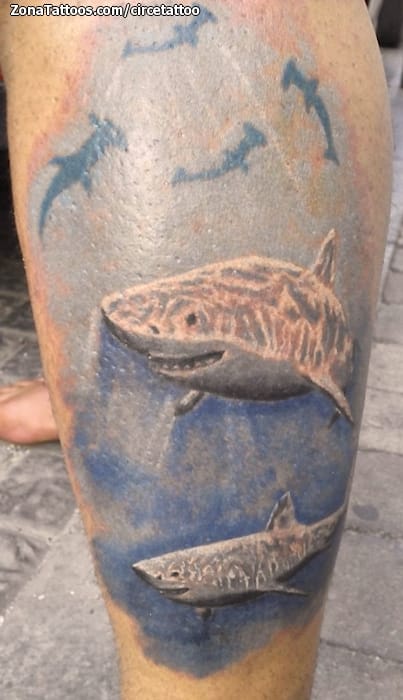 Foto de tatuaje Tiburones, Animales, Peces