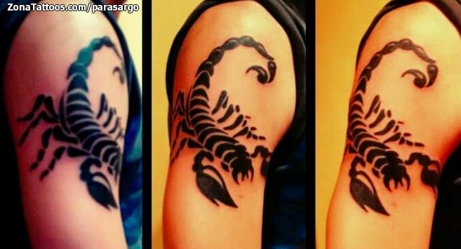 Tattoo photo Scorpions, Insects