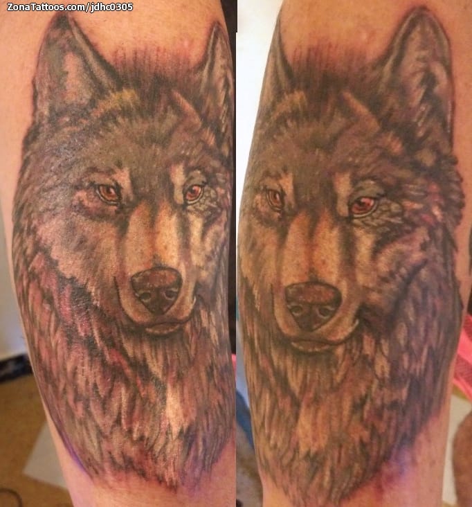 Tattoo photo Wolfs, Animals