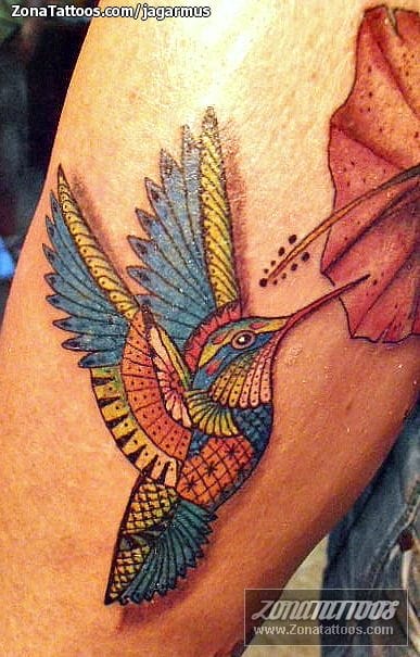 Foto de tatuaje Colibríes, Aves, Animales