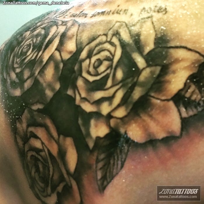 Foto de tatuaje Rosas, Flores, Cover Up