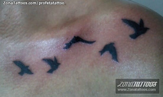 Foto de tatuaje Aves, Animales