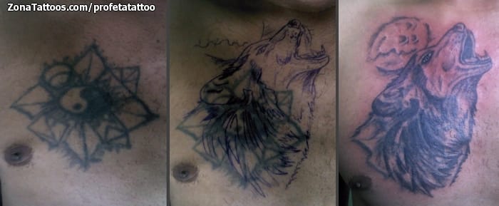 Foto de tatuaje Lobos, Animales, Cover Up