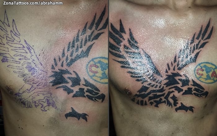 Foto de tatuaje Águilas, Aves, Animales