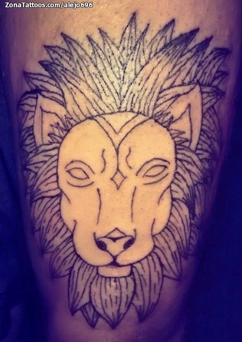 Foto de tatuaje Leones, Animales