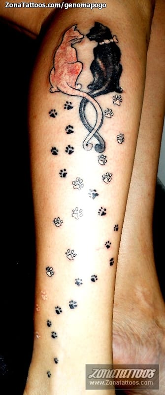 Foto de tatuaje Gatos, Animales, Huellas