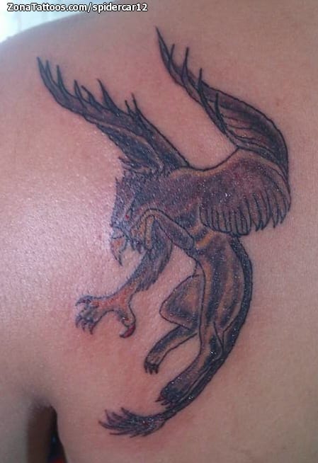 Griffin Tattoo Meanings  iTattooDesignscom