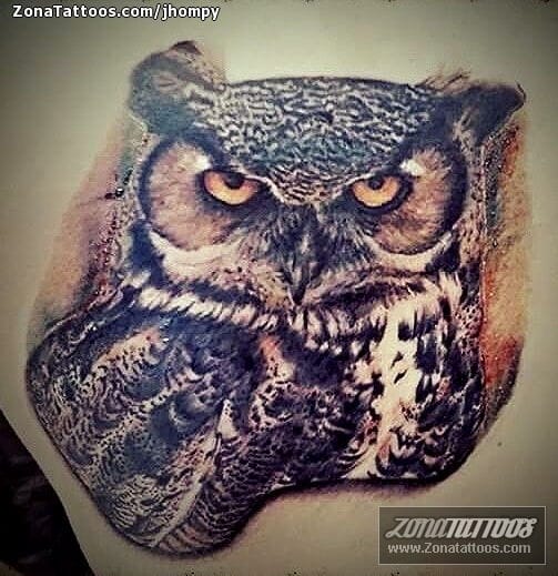 Tattoo photo Owls, Birds, Animals