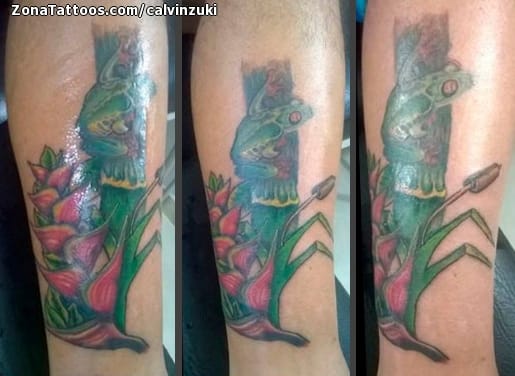 Foto de tatuaje Ranas, Animales, Flores