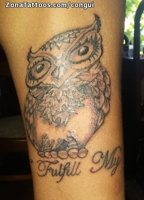 Tattoo photo Owls, Birds, Animals