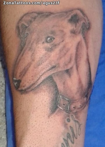 Tattoo photo Animals, Dogs