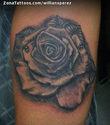 Tattoo photo Roses, Flowers