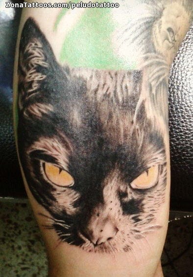 Foto de tatuaje Animales, Gatos