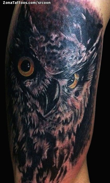 Foto de tatuaje Búhos, Aves, Animales