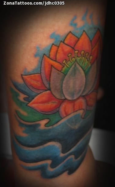 Tattoo photo Lotus, Flowers, Water
