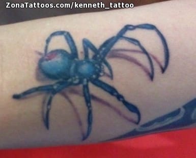 Tattoo photo Spiders, Insects