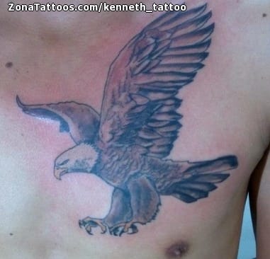 Foto de tatuaje Águilas, Aves, Animales