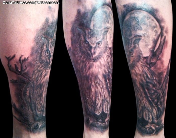 Tattoo photo Owls, Birds, Animals