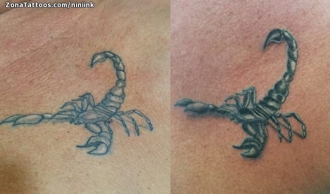 Tattoo photo Scorpions, Insects