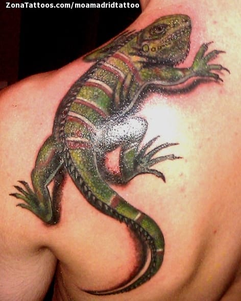 Tattoo photo Iguanas, Lizards, Shoulder