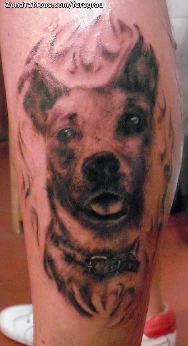 Foto de tatuaje Perros, Animales