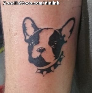 Foto de tatuaje Perros, Animales