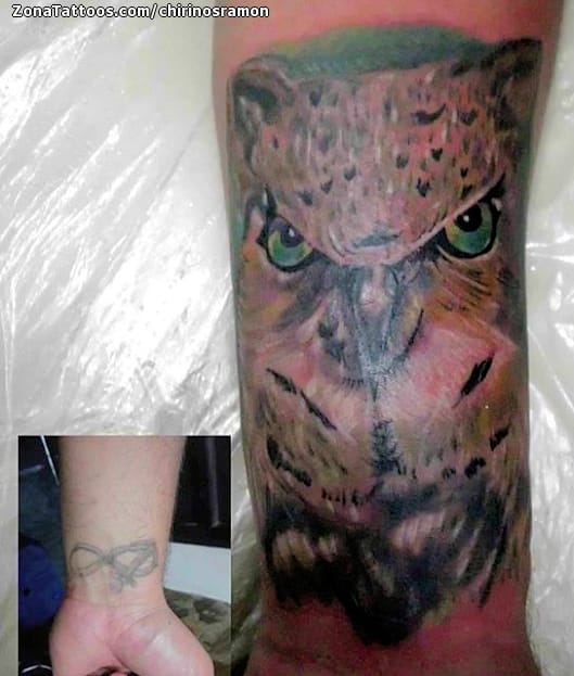 Foto de tatuaje Búhos, Aves, Animales