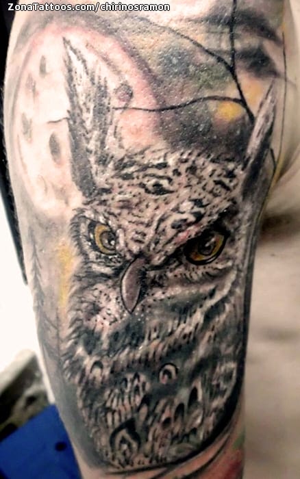 Foto de tatuaje Búhos, Aves, Animales