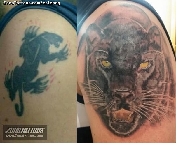 Tattoo of Cover Up, Panthers, Animals