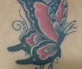 Tattoo by NaxoR1
