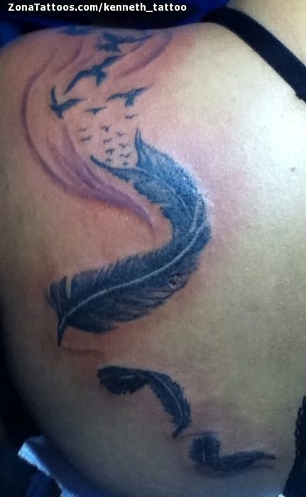 Tattoo photo Feathers, Birds, Shoulder blade