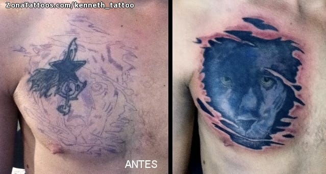 Foto de tatuaje Cover Up, Panteras, Pecho