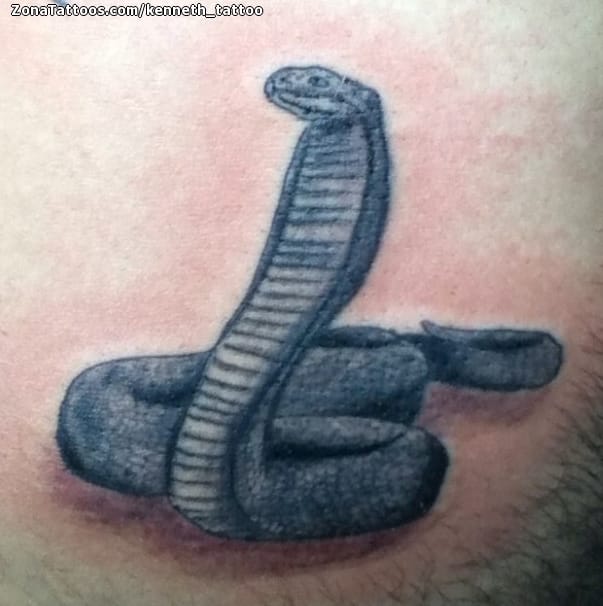 Tattoo photo Snakes, Animals