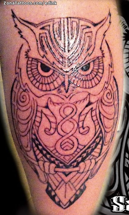 Tattoo of Owls, Calf, Birds